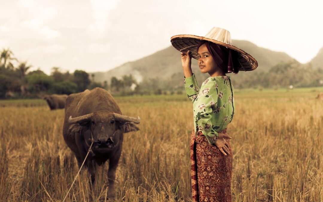 Peran PKK dalam Pemberdayaan Perempuan di Desa Ceger